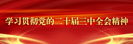 学习贯彻党的二十届三中全会精神